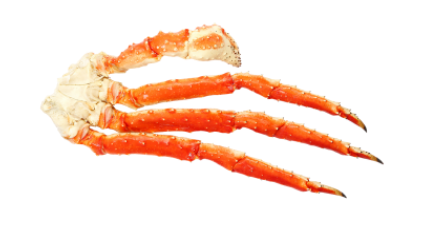 image.png