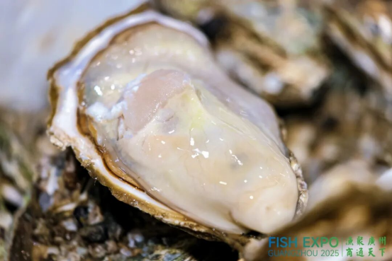 1768381754822595.png image.png