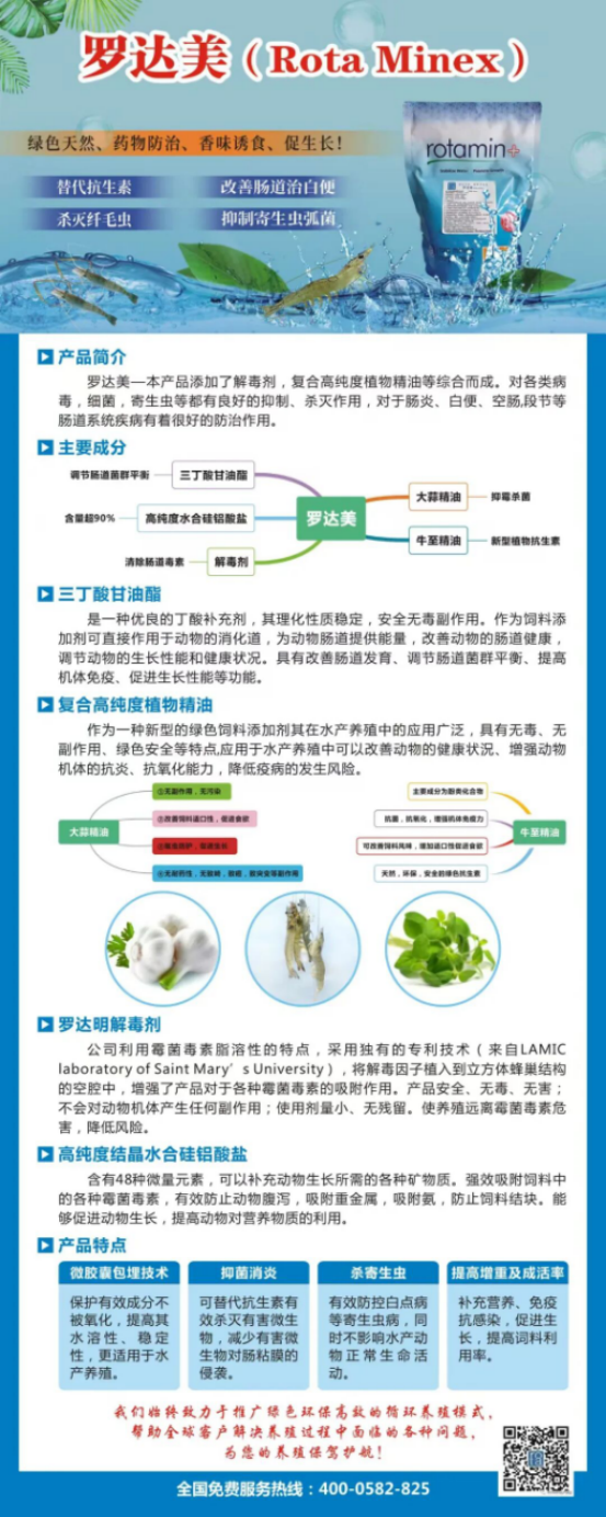 1768985024775319.png image.png