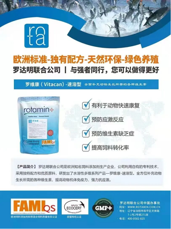 1768985044832861.png image.png